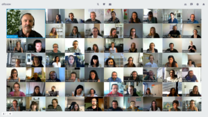 screenshot of an alfaview online meeting with 67 participants