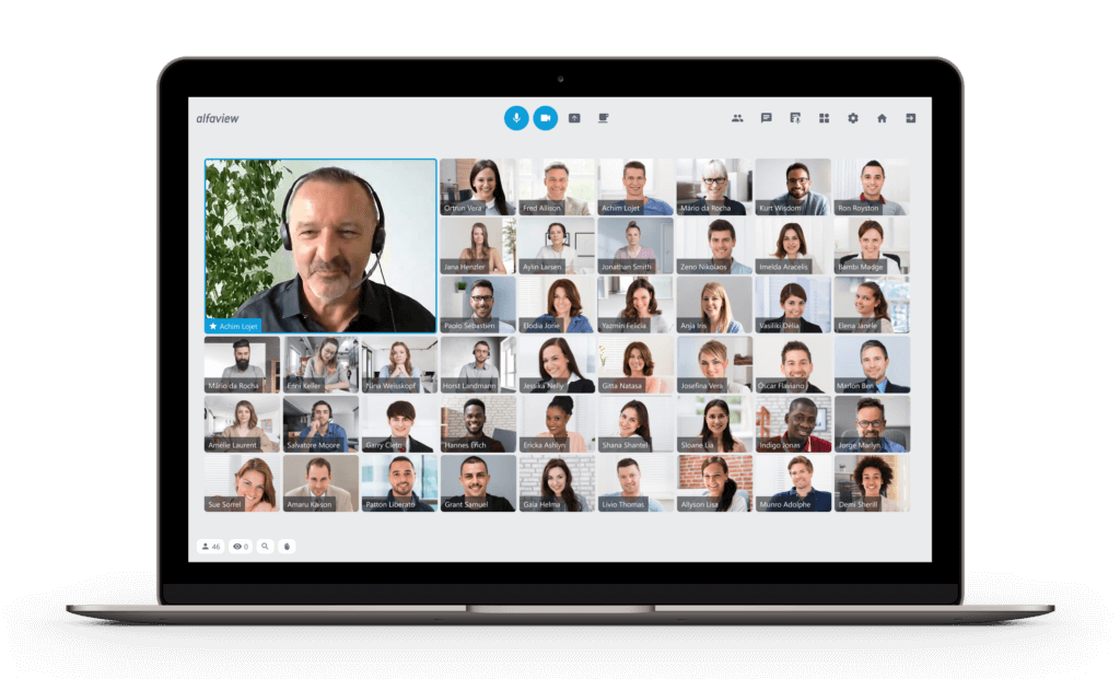 Film zeigt eine Videokonferenz mit vielen Teilnehmenden und einer Gebärdendolmetscherin, die das Gesagte in Gebärdensprache übersetzt. Alle Personen sind mit Videobild und Ton verbunden.